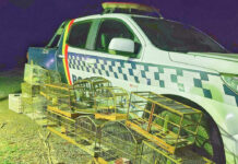 Batalhão ambiental resgatou mais de 8,8 mil animais em dois anos