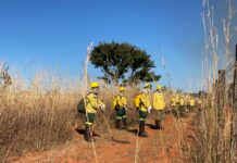 Divulgada lista de pré-selecionados para curso de brigadista florestal