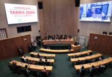 Direito ao transporte avança com prorrogação da validade dos créditos de passageiros