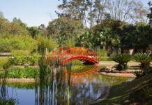 Confira o que abre e o que fecha no aniversário de Brasília