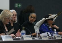 Marina Silva denuncia desmonte na fiscalização ambiental