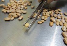 Fiscais apreendem arroz, feijão, café e azeite com irregularidades