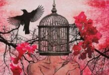 Dia da Luta Antimanicomial pede defesa do SUS e cuidados em liberdade