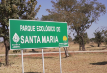 Confira a programação pelo Dia Mundial do Meio Ambiente