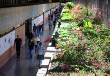 UnB segue no 5ª lugar do ranking das melhores universidades federais do Brasil