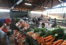 Preços da cenoura e do mamão caem nos principais mercados atacadistas