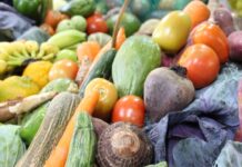 Pnae vai comprar mais de R$27 milhões da agricultura familiar para a alimentação escolar do DF