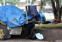 Ações do Brasil sem Fome vão atender 33,1 milhões de pessoas