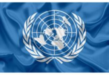 Brasil assume assento no conselho de segurança da ONU, evitando tópicos delicados e sem inclusão da ucrânia na pauta