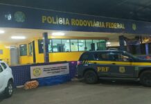 PRF prende homem com 255 kg de maconha, em Luziânia (GO)