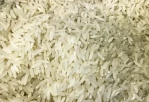 Camex zera tarifa de importação para garantir abastecimento de arroz
