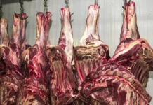 China abre investigação sobre importação de carne bovina
