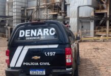 PCGO incinera 5 toneladas de drogas e total destruído no ano chega a 22 toneladas em Goiás