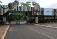 Zoológico de Brasília celebra 68 anos com programação especial